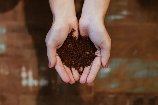 Cupped hands holding a mound of dark, rich soil