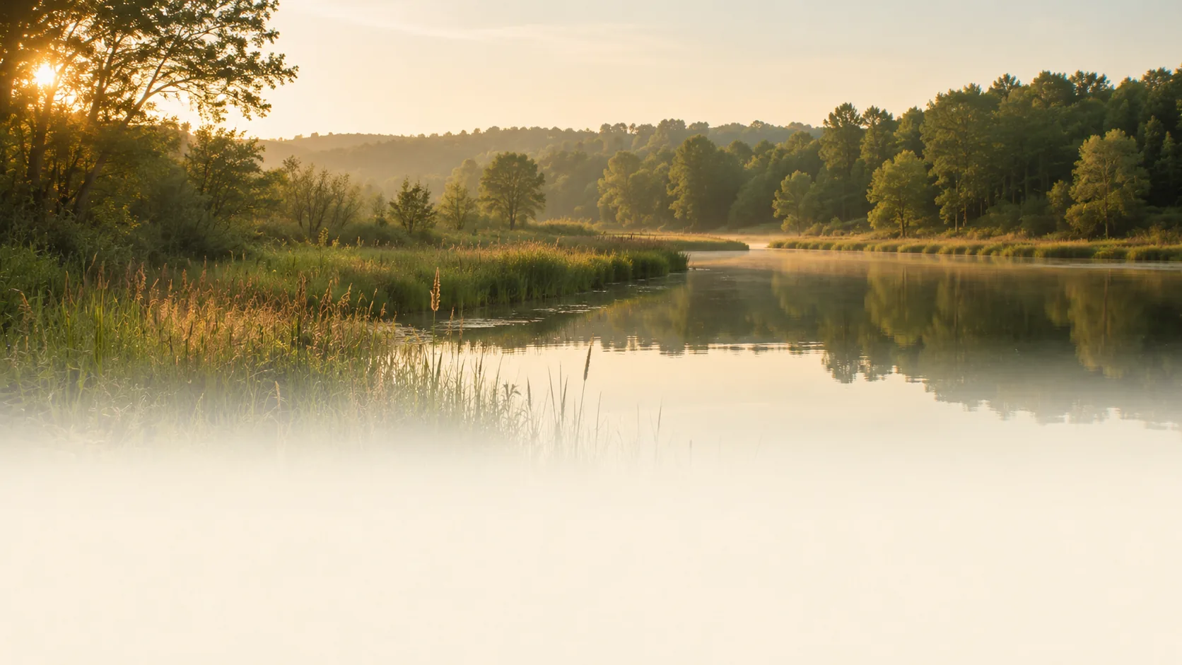 Still water in a nature preserve at sunrise, reflecting the trees