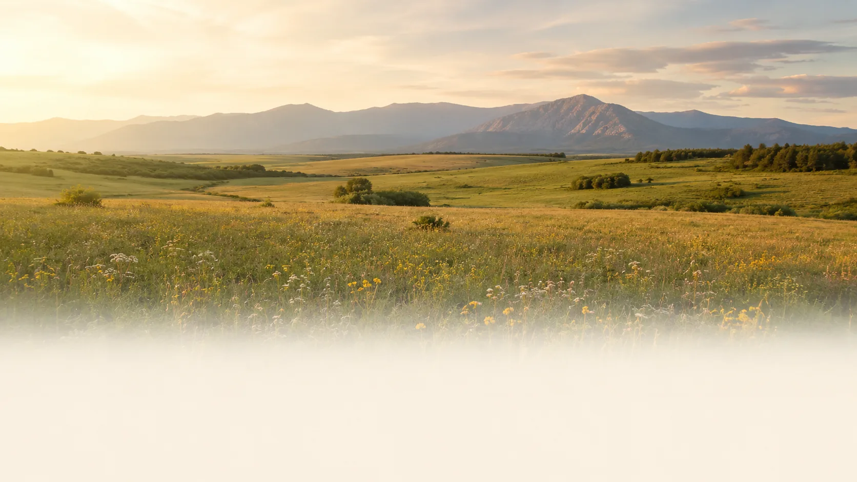 An open meadow beneath the Colorado foothills at sunset